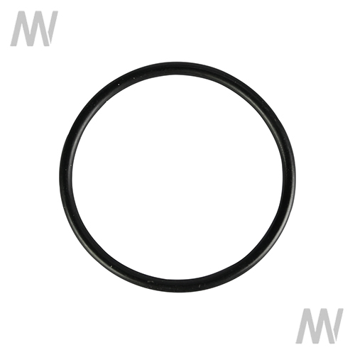 O-Ring - Detail 1