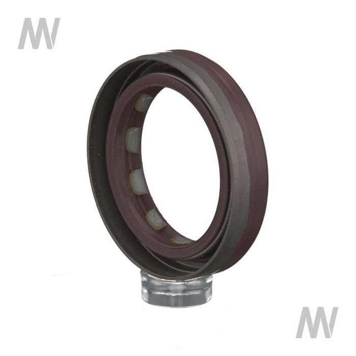 Wellendichtring - Detail 1