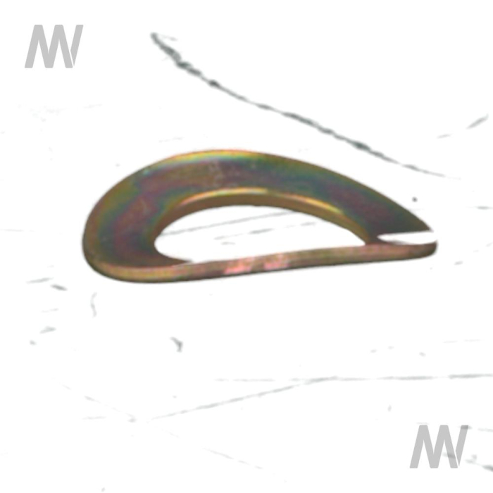 FEDERSCHEIBE A6       137 - Detail 1