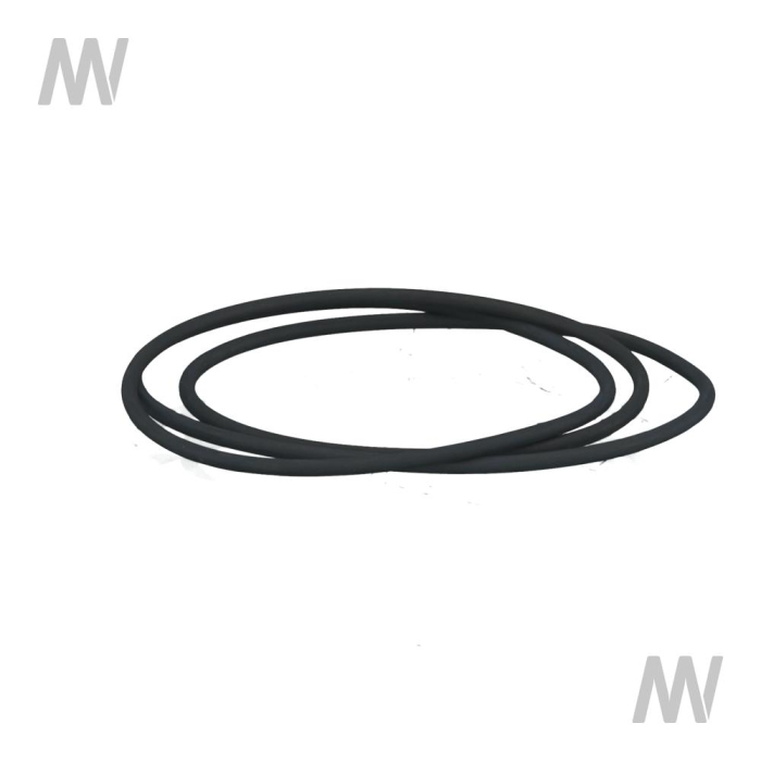 O-Ring - Detail 1