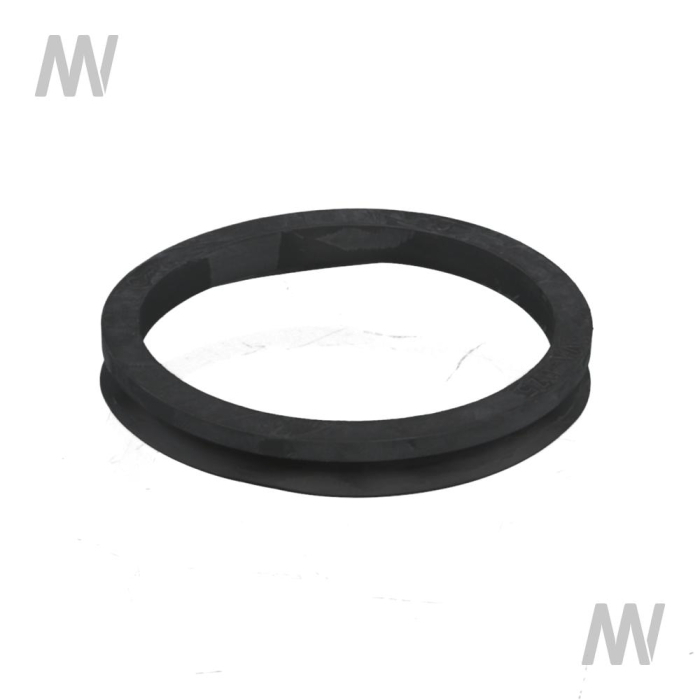V-Ring - Detail 1