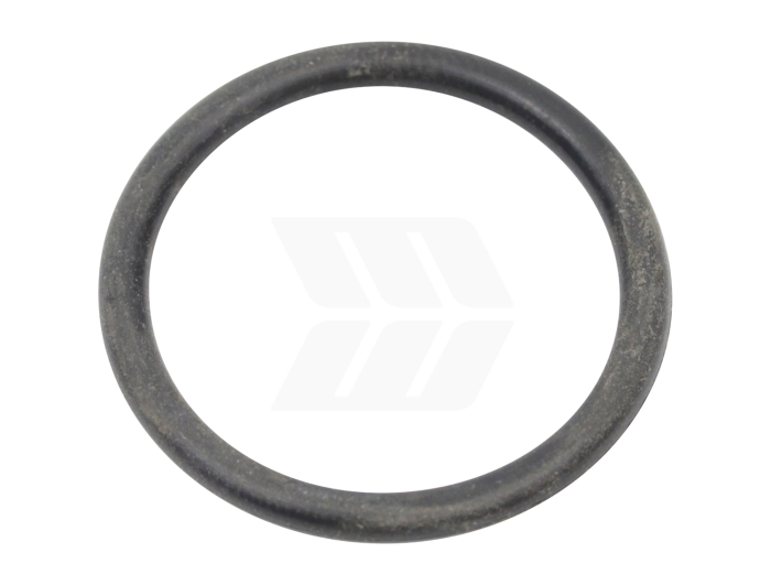 O-Ring - Detail 1