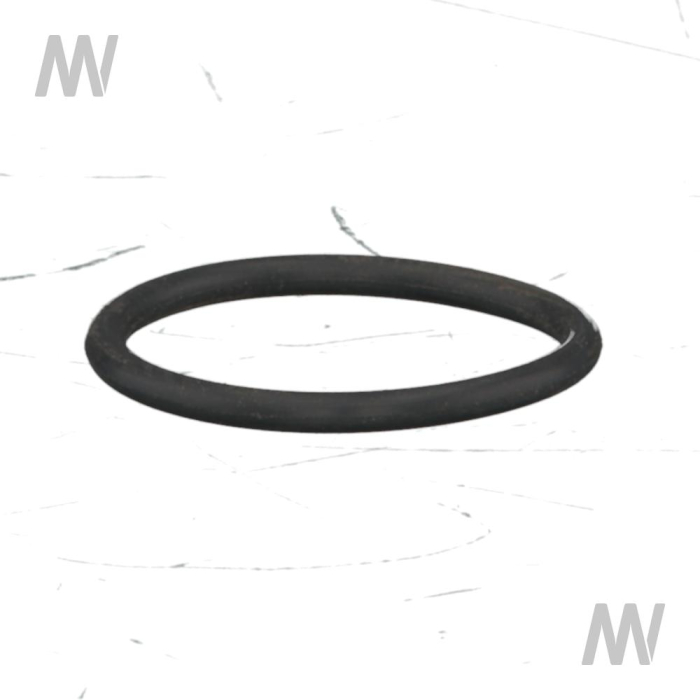 O-Ring - Detail 1
