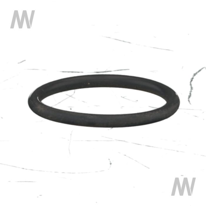 O-Ring 17,17x1,78 4gua 117218 - Detail 1