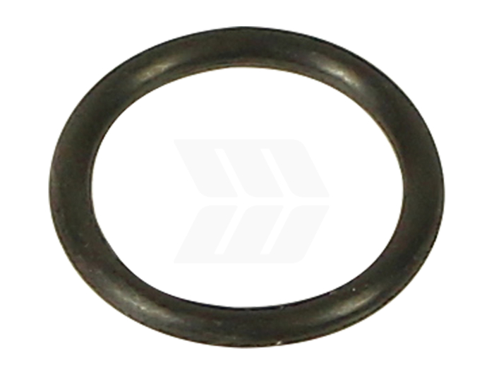 O'-Ring - Detail 1