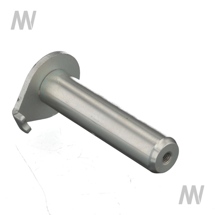 Pivot Pin D30 - Detail 1