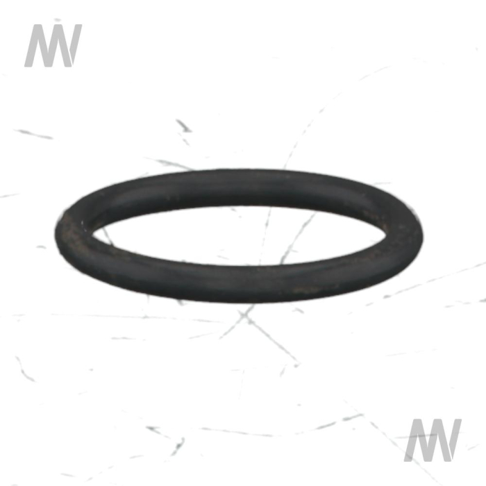 O-Ring - Detail 1