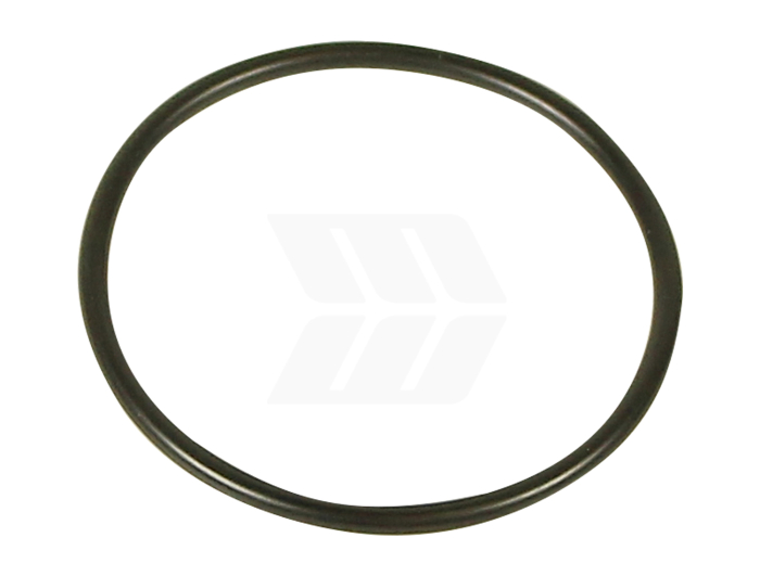 O-RING - Detail 1