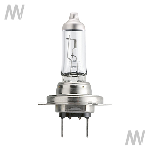 LongLife EcoVision H7 halogen lamp, 12V, 55W, PX26d - Detail 1