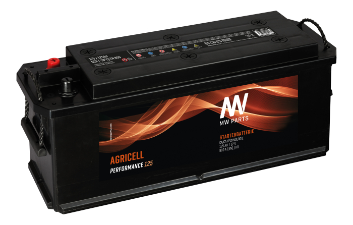 Agricell Starter Battery, 12V 110AH / 800A - Detail 1