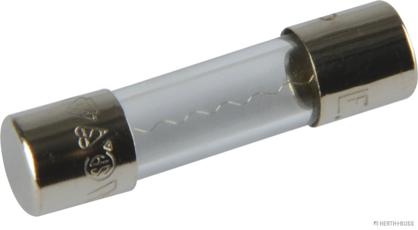 Glassicherung F flink bis 250V/1A 5x20mm (10 Stück) - Detail 1