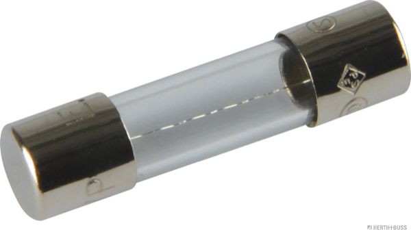 Glass fuse, 1.6A / 250V (10 pieces) - Detail 1