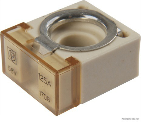 Hauptsicherung Kompaktsicherung CF 58V/125A - Detail 1