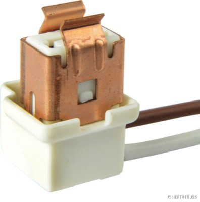 Plug for main headlight - Detail 1