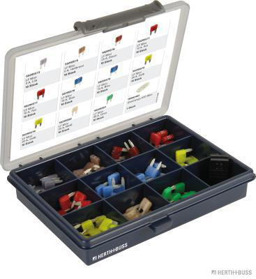 Box of assorted mini blade fuses (3-30A / 111 pcs.) - Detail 1