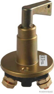 Main switch battery with 2 keys, - Detail 1