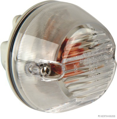 Indicator lamp for MAN, TGX, TGA, TGL, TGM (2 pieces) - Detail 1