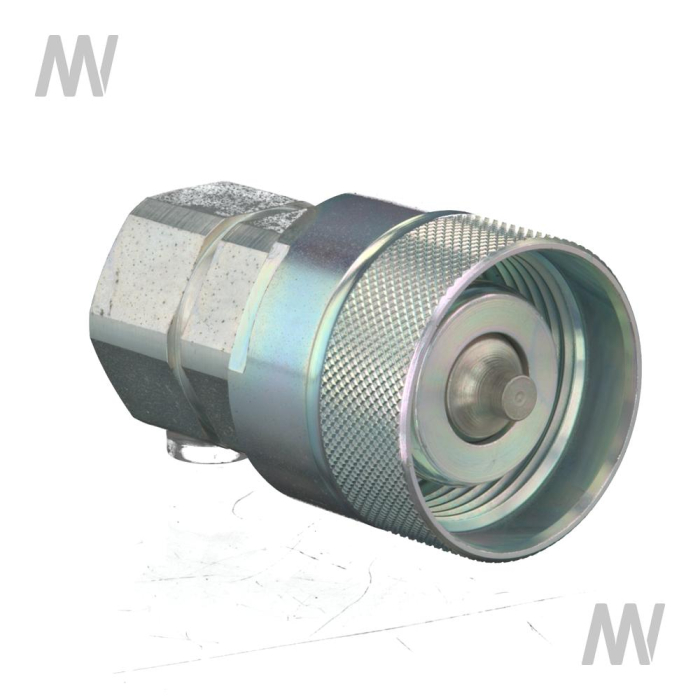 Schraubkupplungs- Stecker KL (G3/4") IR DN25-BG6 - Detail 1