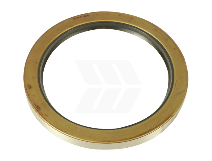 Shaft seal ring - Detail 1