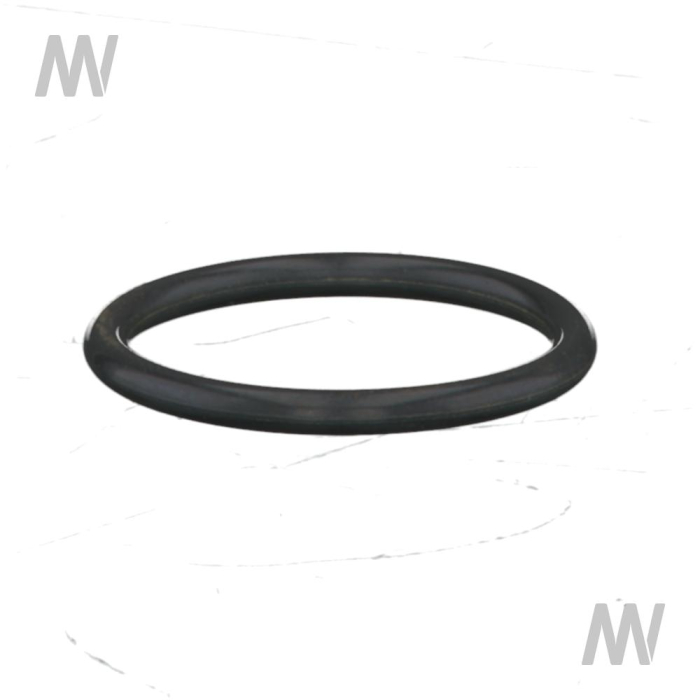 O-Ring - Detail 1