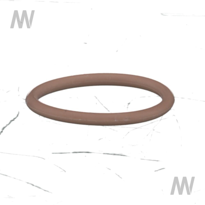 Dichtring - Detail 1
