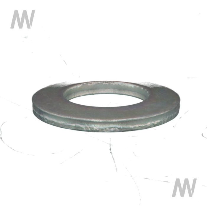 Cup spring - Detail 1