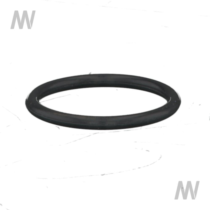 O-ring - Detail 1
