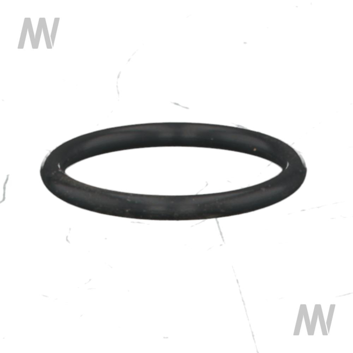 O-Ring - Detail 1