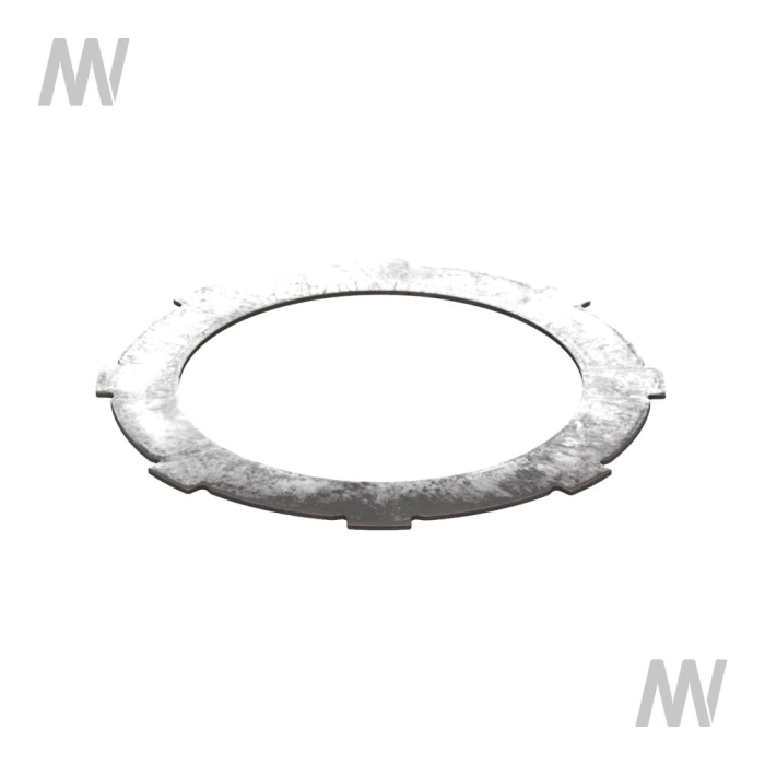 Bremstraegerplatte - Detail 1