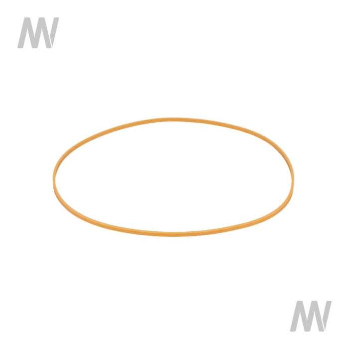 Dichtring - Detail 1