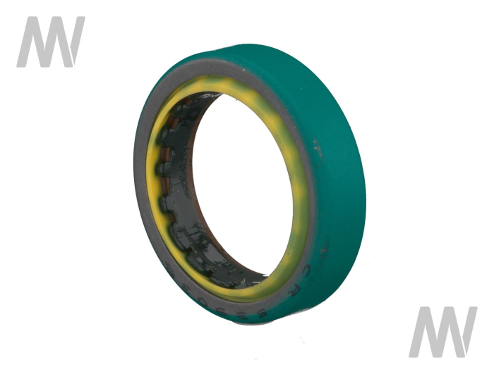 Shaft seal ring - Detail 1