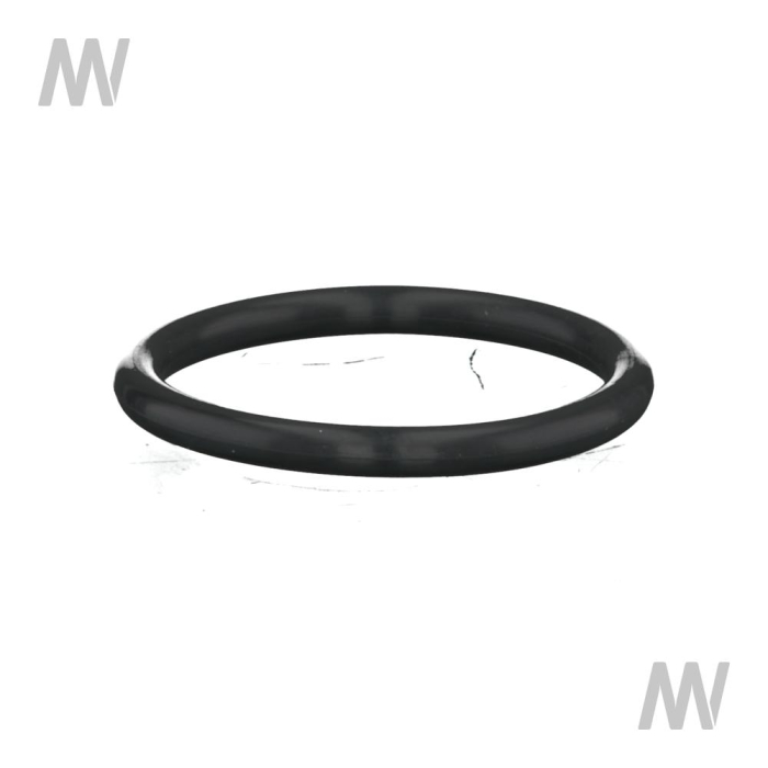 Dichtring - Detail 1