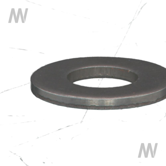 Dichtring - Detail 1