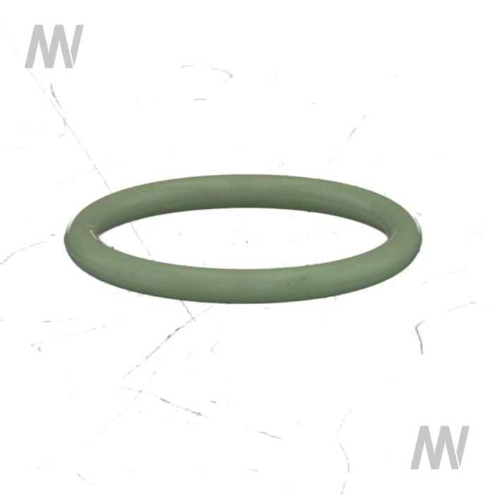 Dichtring - Detail 1