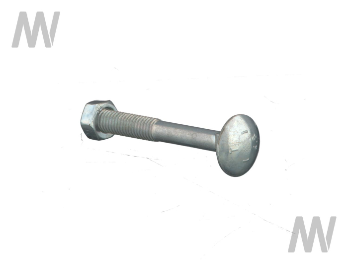 Flachrundschraube - Detail 1
