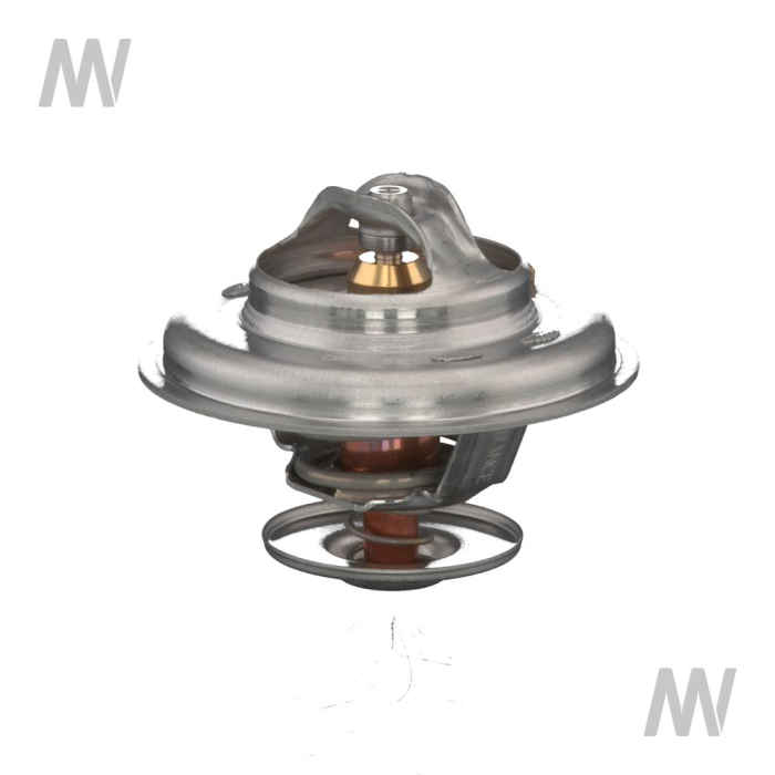 Thermostat - Detail 1