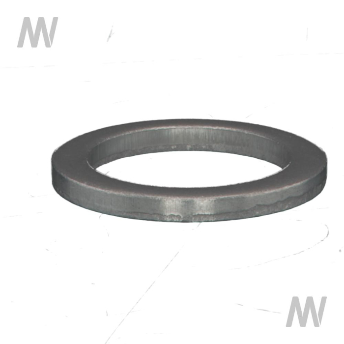 Dichtring - Detail 1