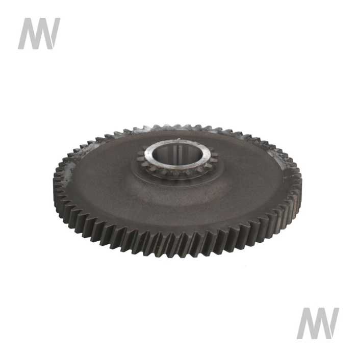 Gear, 66 teeth - Detail 1