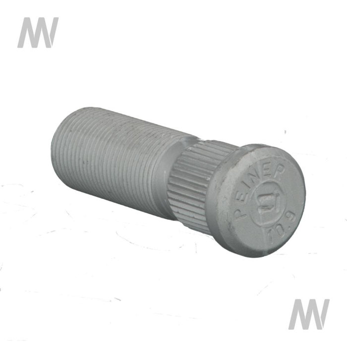 Radbolzen - Detail 1