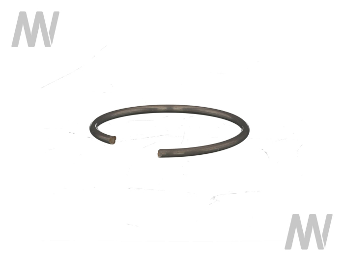 Circlip - Detail 1
