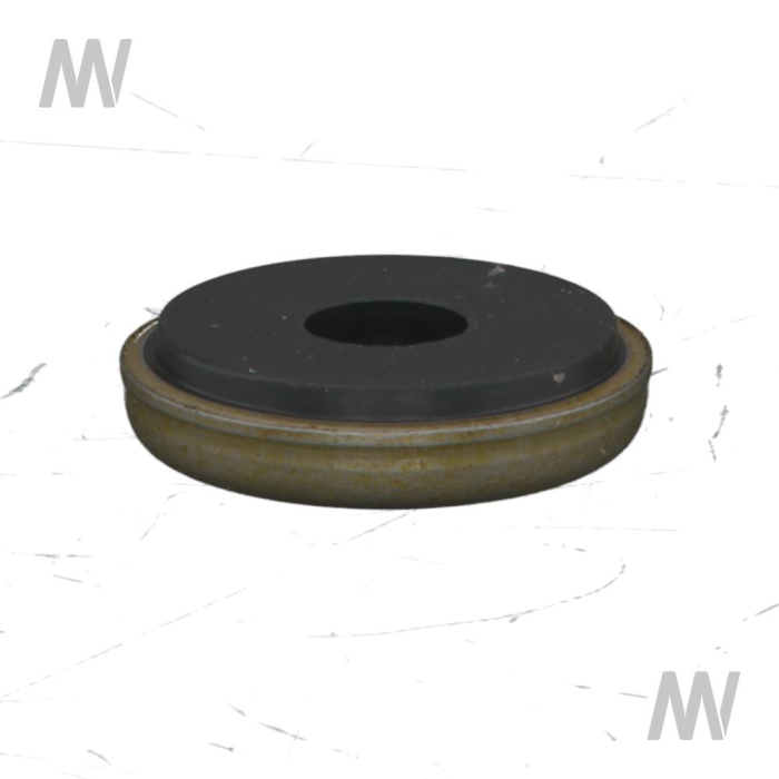 Dichtring m. Metallkappe - Detail 1