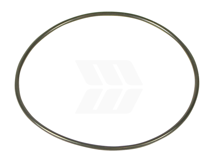 O-Ring - Detail 1