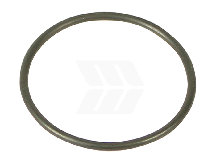 O-Ring - Detail 1