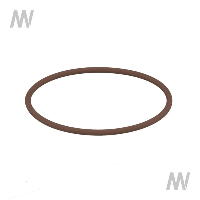 O-Ring - Detail 1