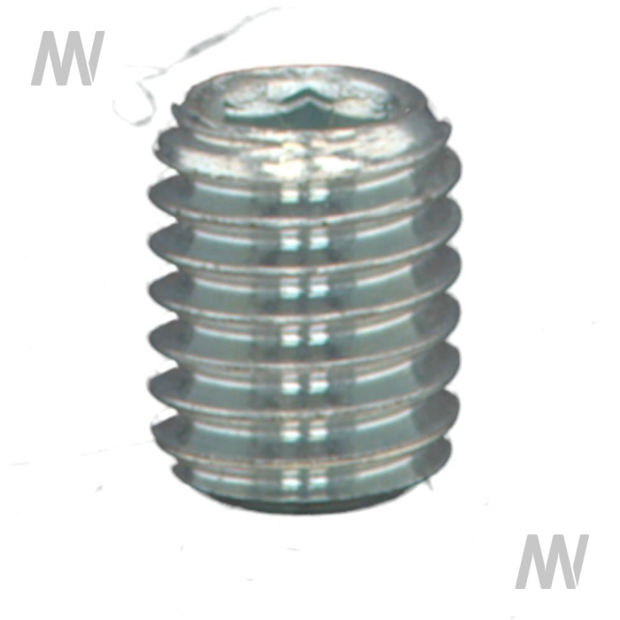 Adjusting screw - Detail 1