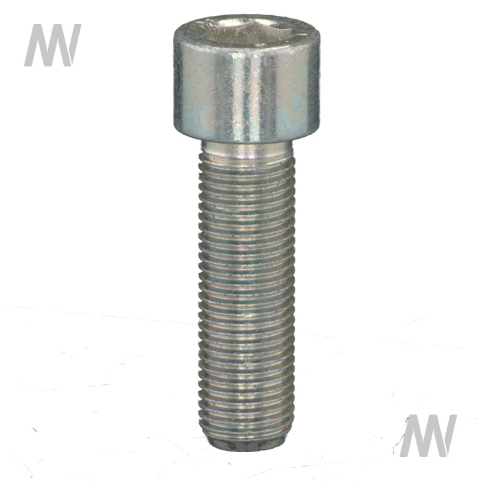 HEXAGON SOCKET HEAD SCREW - Detail 1