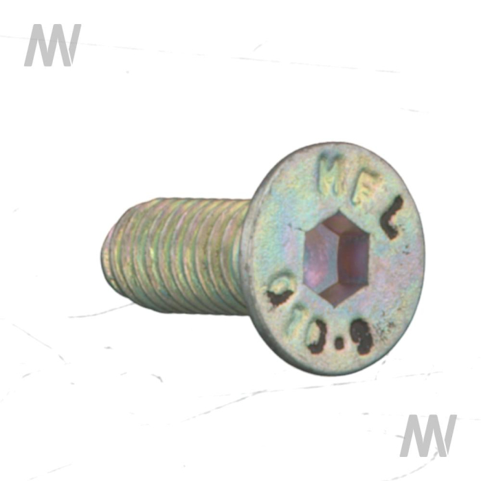 Senkschraube - Detail 1