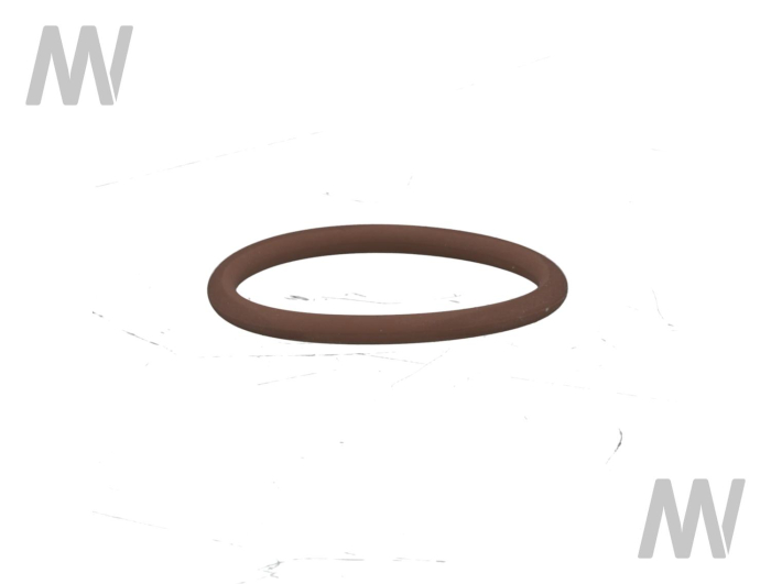 O-Ring - Detail 1