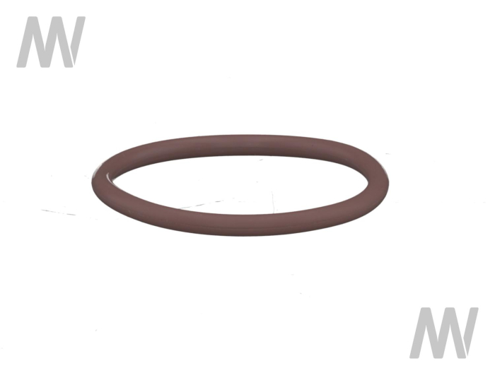 O-Ring - Detail 1