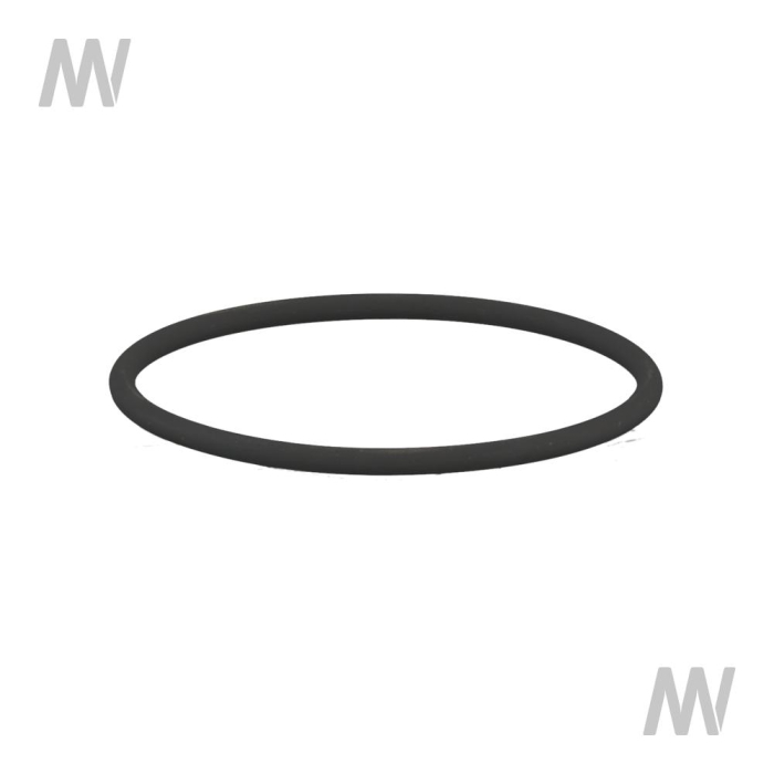 O-Ring - Detail 1